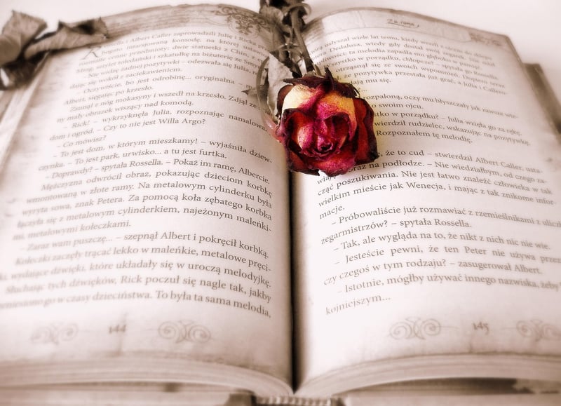 Repurposed Book Art